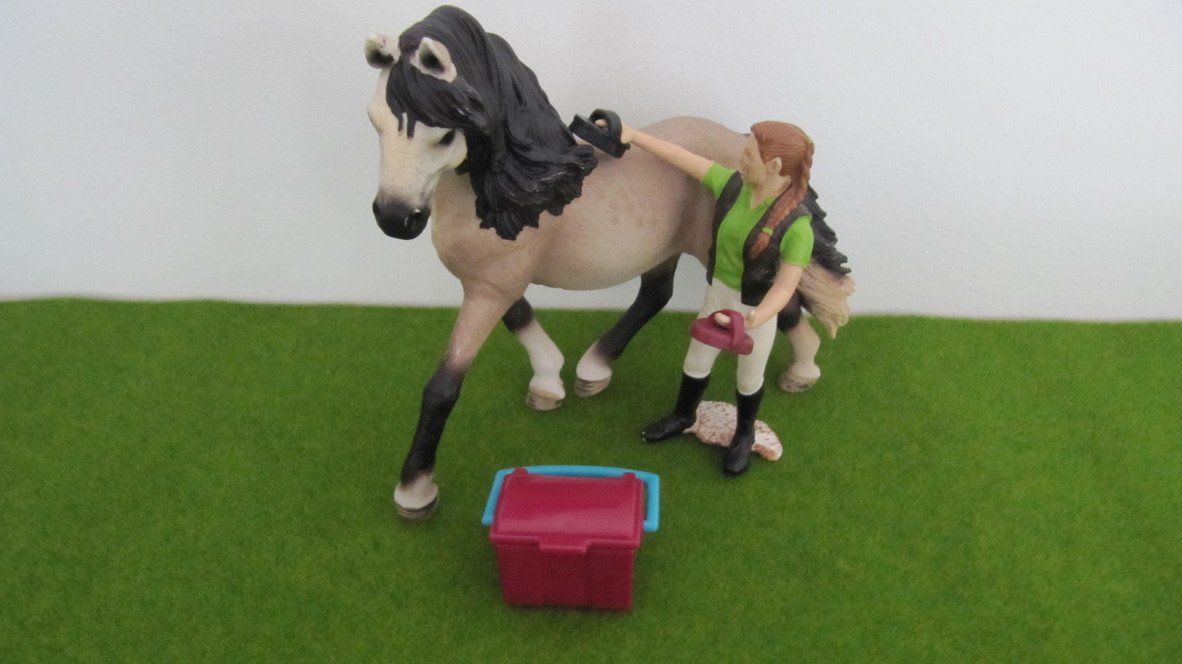 Schleich Giocattoli: Schleich Pferdekoppel mit Eingangstor + Zubehör – Usato da Brunnen venduto da Kiwiland1 2