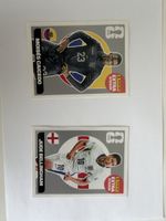 Panini 2026 Extra Sticker
