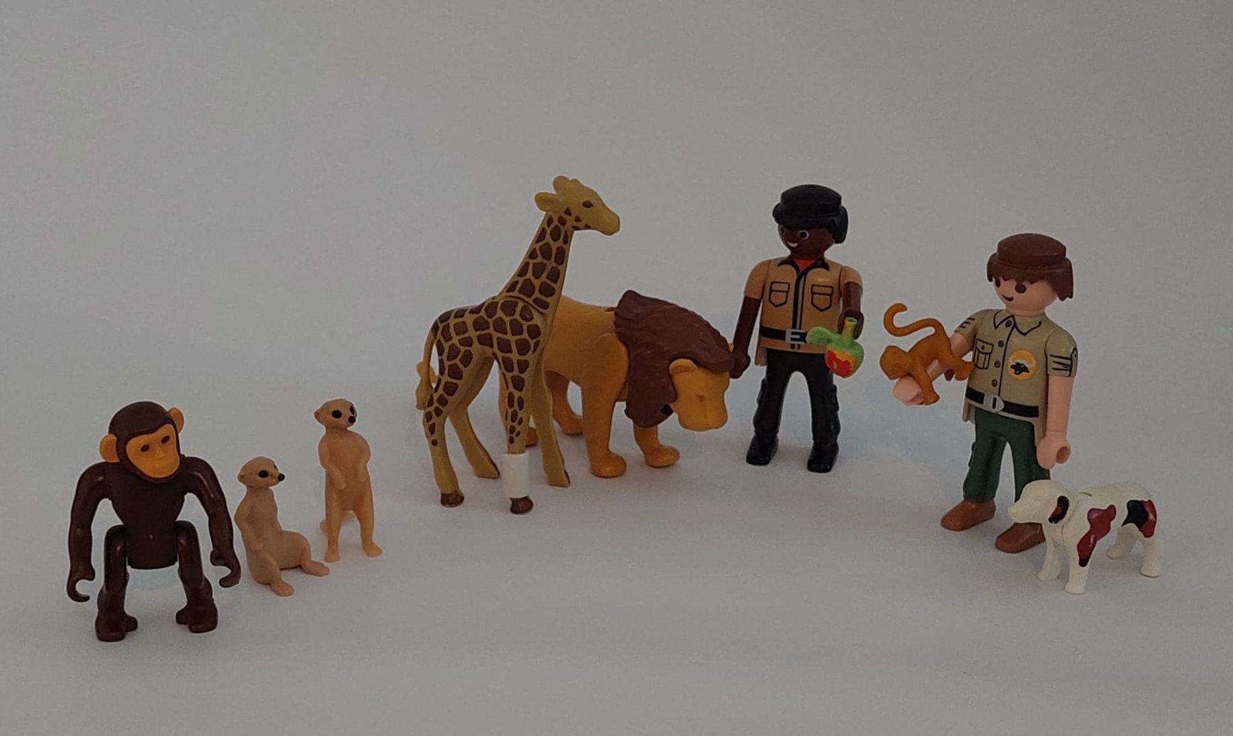 Playmobil Giocattoli: Playmobil Tierrettungsstation – Usato da Abtwil AG venduto da Queenstown 1