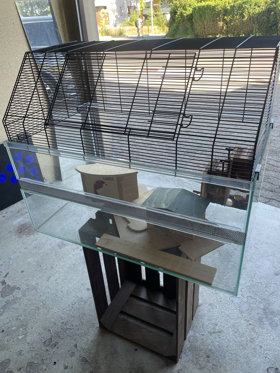 Terrario: Hamsterterarium – Usato da herzogenbuchsee venduto da danny08 2