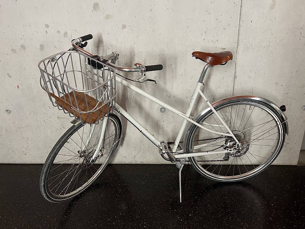 Biciclette: Pelago Airisto  – Usato da Adliswil venduto da Ursula8102