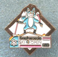 Bankverein  SKI OPEN