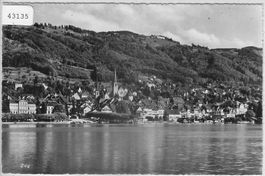 Zug vom See aus
