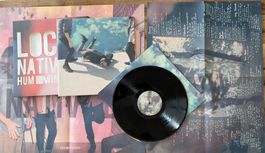 Local Natives – Hummingbird | Indie Rock LP 🎸