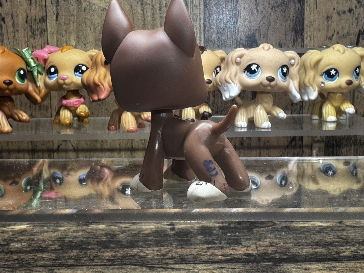 Giocattoli: Littlest pet shop great dane – Usato da Luzern venduto da Maja.C 1