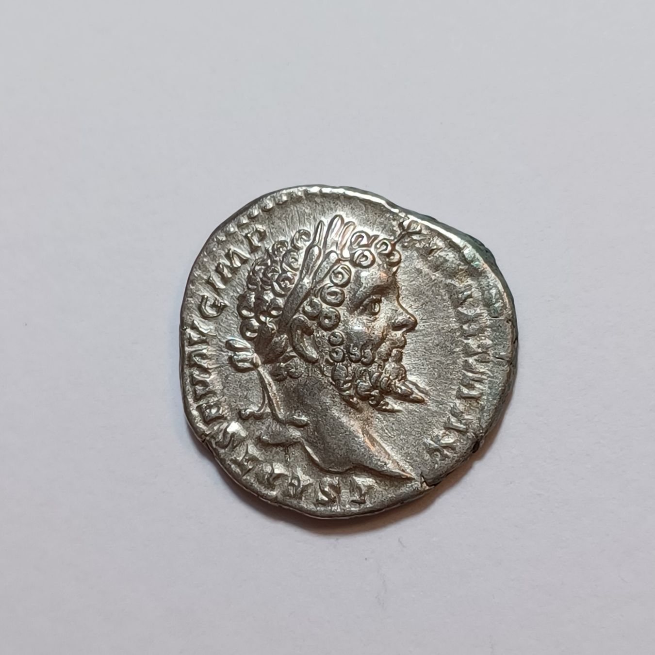 Tutti le monete: Denarius Septimius Severus (193-211) Römisches Reich – Usato da Pfäffikon ZH venduto da Welt_Muenzen