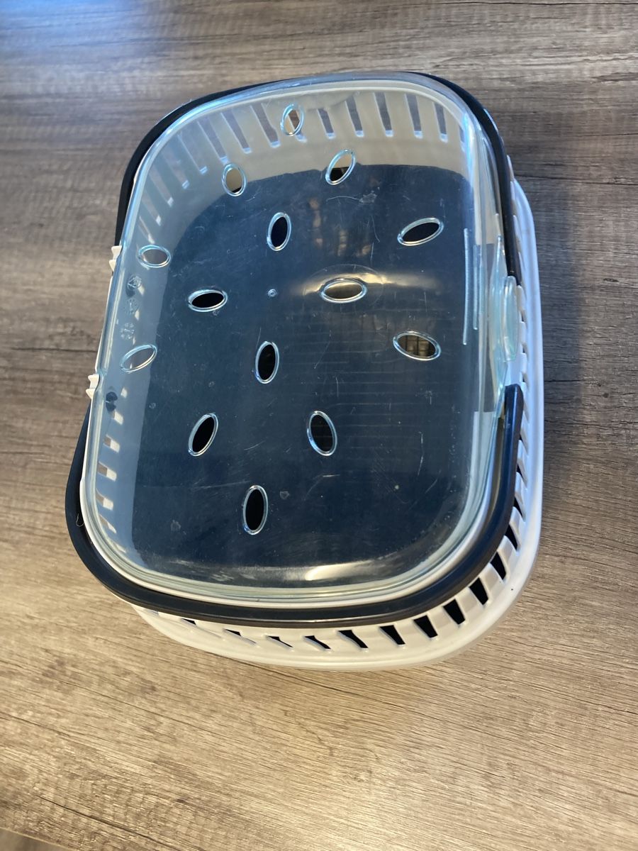 Gabbie, trasporto & Sicurezza: tiertransportbox – Usato da gretzenbach venduto da mic_cvj6