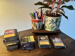 Disney Lorcana First Chapter Bulk - 481 English cards