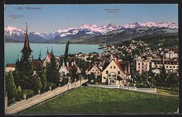 Wädenswil, Teilansicht mit Mürtschenst