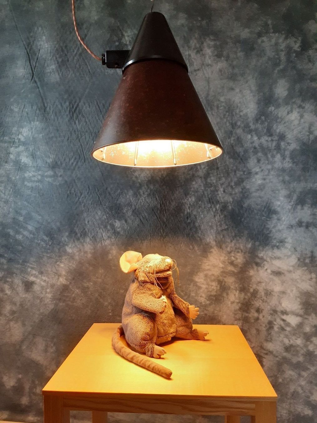 Lampade: Alte Wärmelampe – Nuovo (secondo la descrizione) da Winterthur venduto da lampenretter