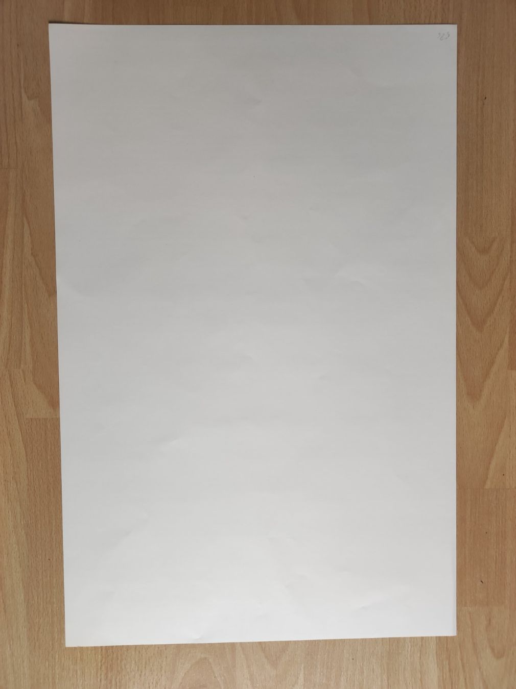Foto & Immagini: JOSEPH BEUYS - DOCUMENTATIE - ORIGINAL-PLAKAT - SIGNIERT – Usato da Goldach venduto da Gaip 3