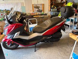 Motorrad SYM Cruisym 3001