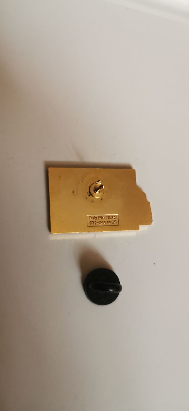 Plaquettes & Badges: Pin Santis  – D'occasion à Genève par vins50 1