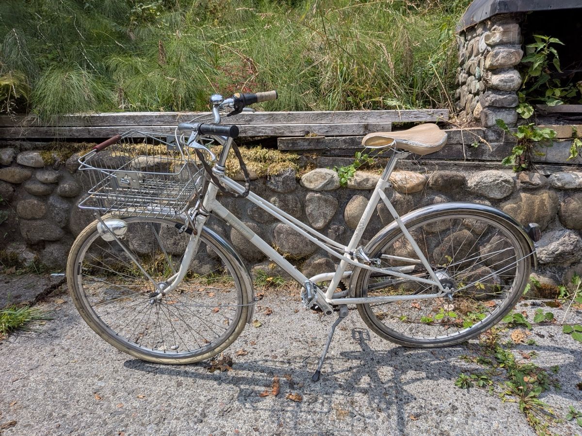 Biciclette: Creme Cycles Velo – Usato da Horw venduto da donia88 4
