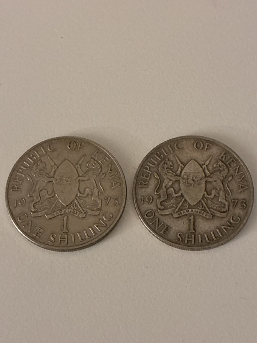 Tutti le monete: Nr. 53: 2 x 1 Schilling, Kenia, 1973 – Usato da Burgdorf venduto da Yakari5165