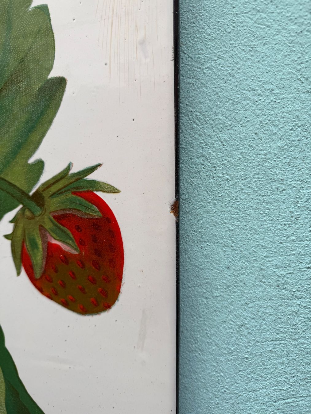 Insegne: Emailschild Hero Erdbeeren – Usato da Bern venduto da mb.kitsune 3