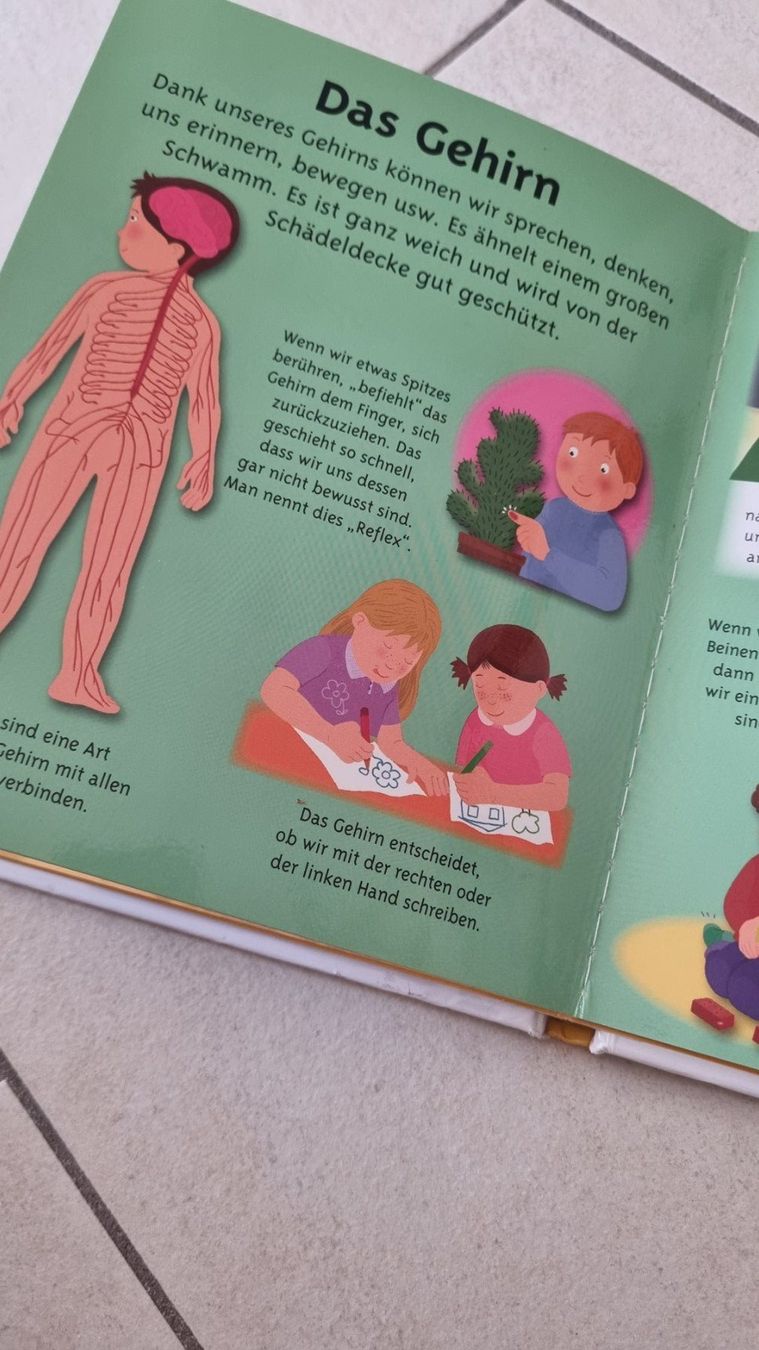 Bücher: Buch Dein kleines Wörterbuch - Der Körper – Gebraucht aus Ganterschwil von Nike18