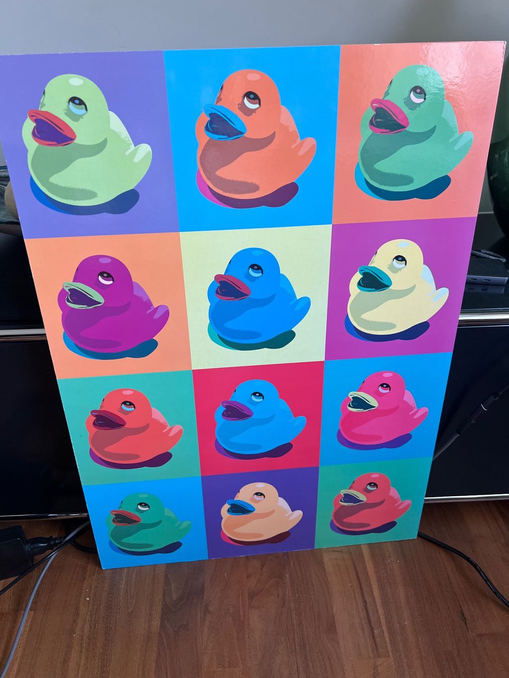 Foto & Immagini: Pop Art Kinsta Enten Ikea Wanddeko – Usato da Jona venduto da Sariksa 1