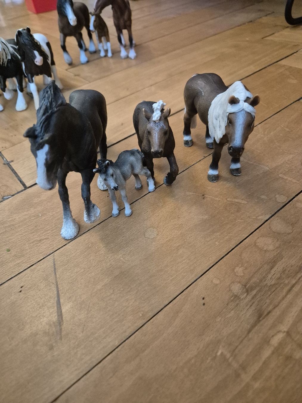 Schleich Figuren: Schleich Pferde div. – Gebraucht aus Zürich von Enila1977 1