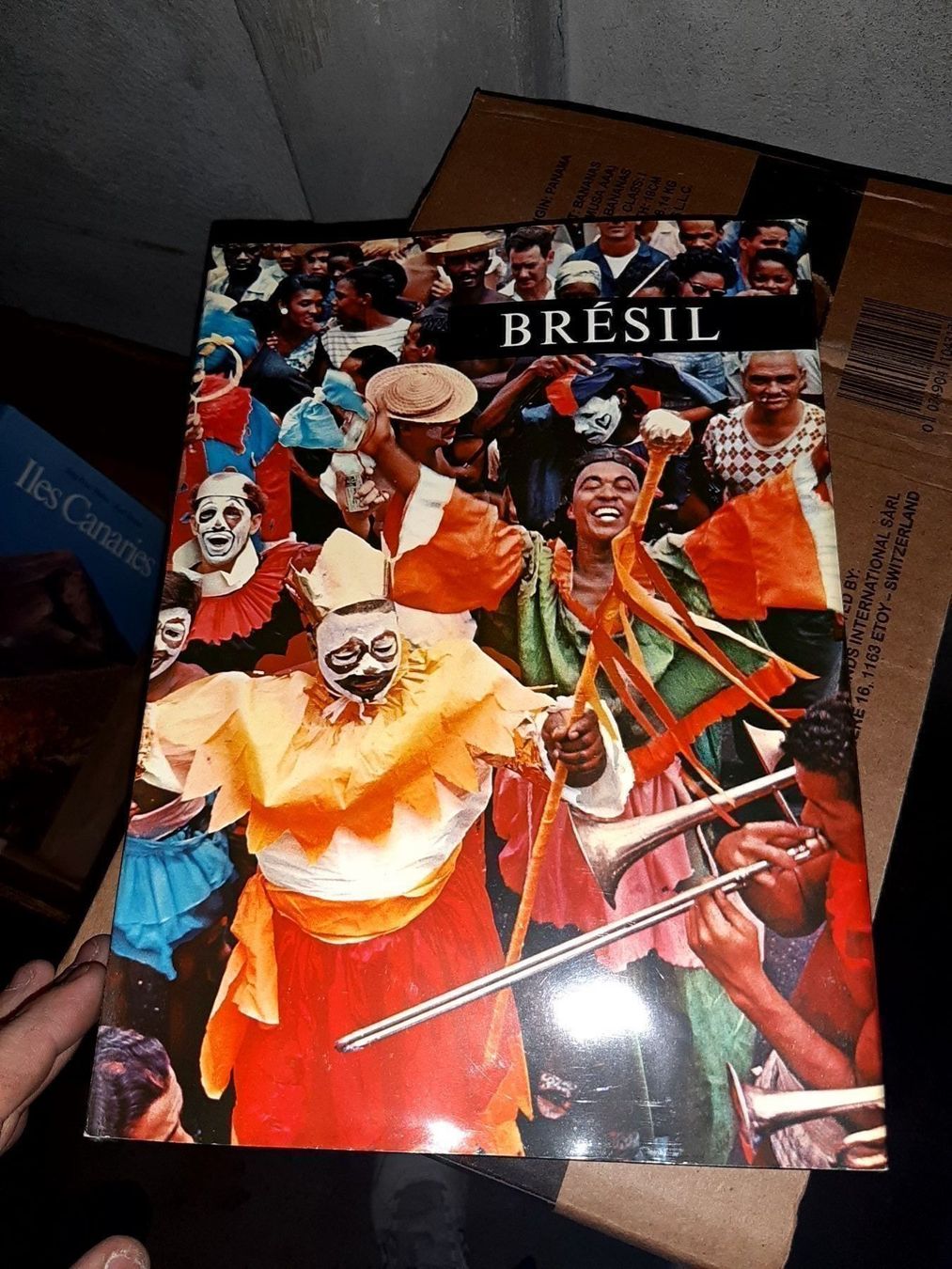 Libri: Livre sur le bresil – Usato da Le locle venduto da juliensaran