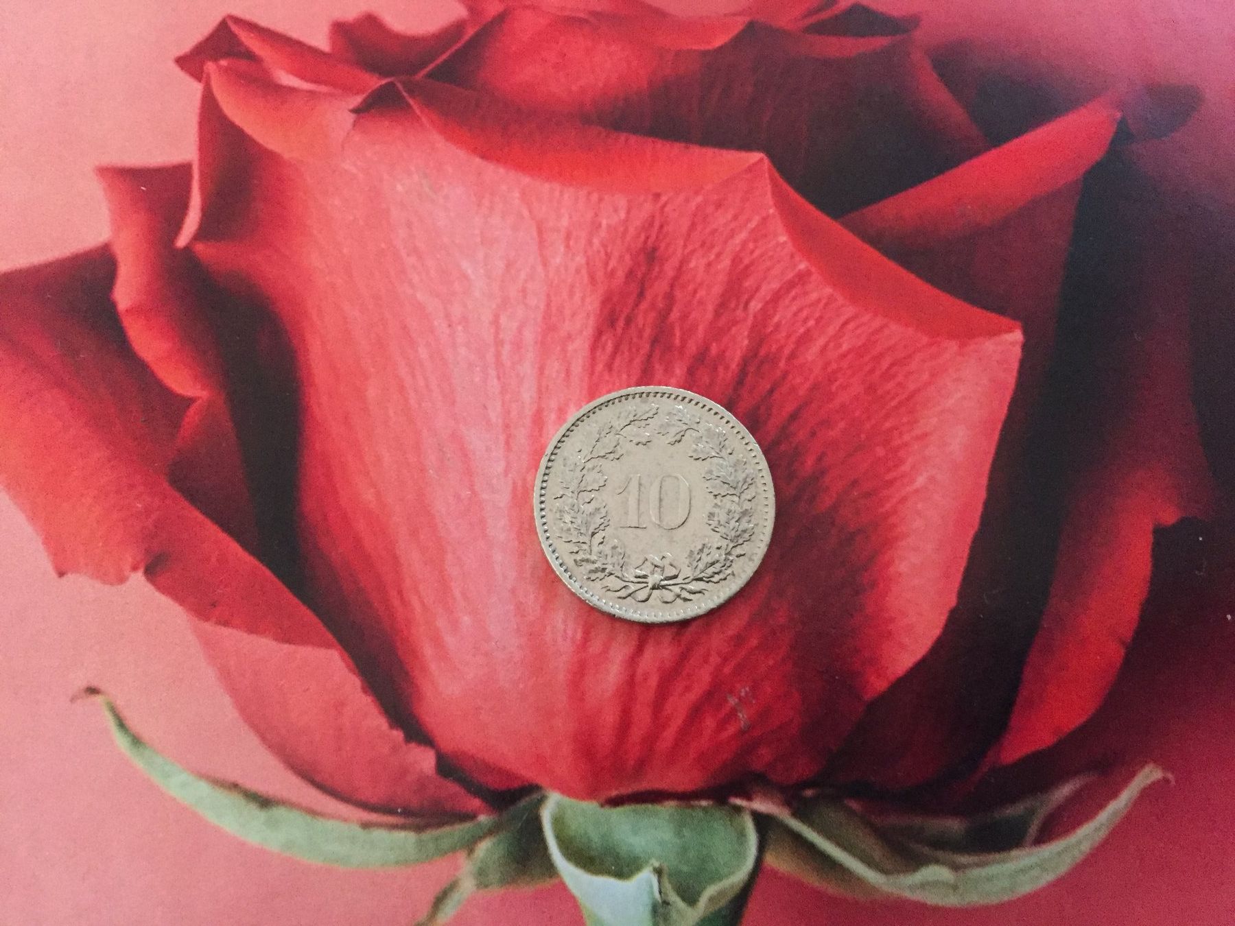 Tutti le monete: 10 Rappen 1976 ss+ – Usato da Elsau venduto da herbybay 2