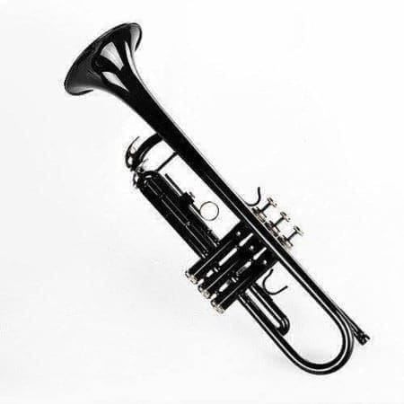 Strumenti musicali: Bb Trompete Musikanfänger schwarz – Nuovo (secondo la descrizione) da Thun venduto da Top32