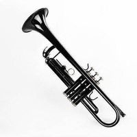 Bb Trompete Musikanfänger schwarz