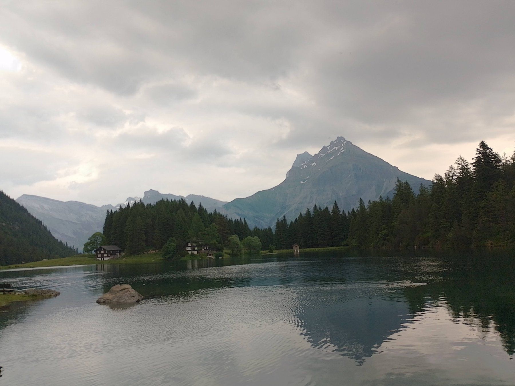 Aliments & Spécialités: Chrütertee Urner Oberland – Neuf avec emballage d'origine à Gurtnellen par AlexandraB51