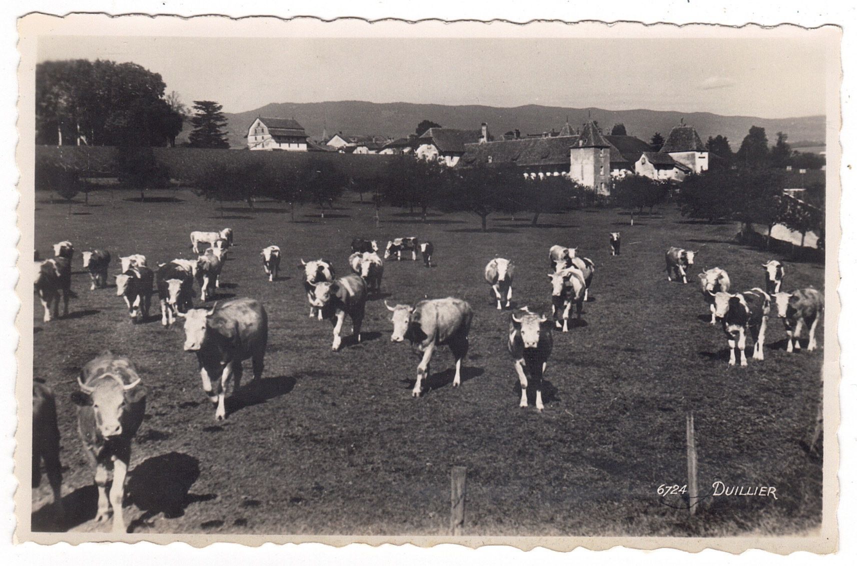 Cartoline postali: Duillier – Usato da La Tour-de-Peilz venduto da amjust