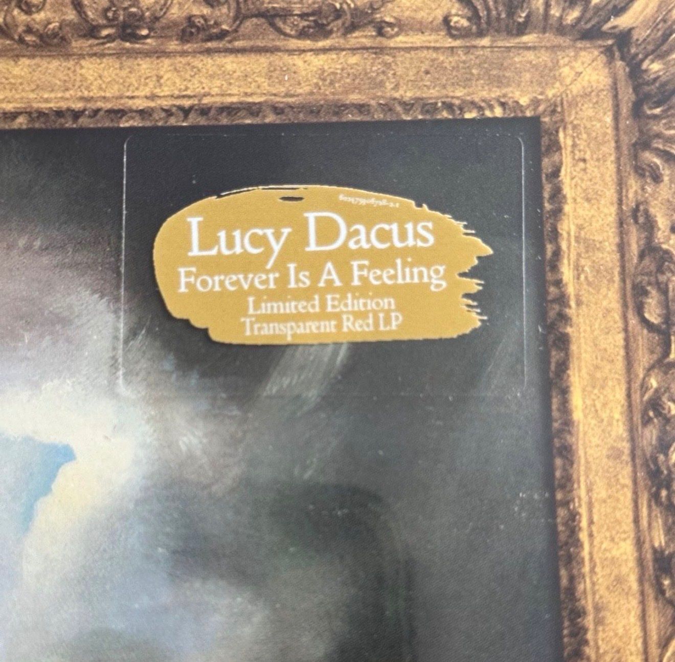 Vinyles: Lucy Dacus - Forever Is A Feeling red Vinyl USA import – Neuf avec emballage d'origine à Küssnacht am Rigi par mat_v96j 2