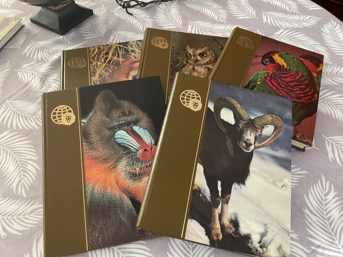 Livres: Royaume des animaux – D'occasion à Pully par pga_95p7 3