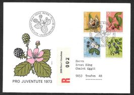 R-FDC Pro Juventute Serie 1973 J244-J247 ET Bern 29.11.1973