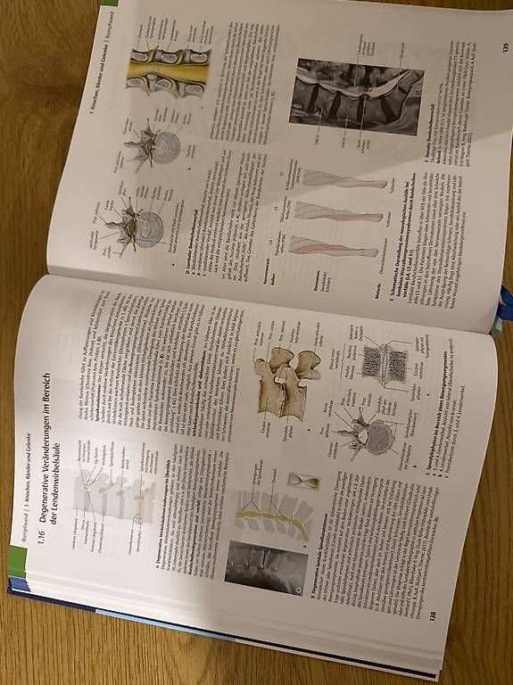 Libri: Prometheus Lernatlas der Anatomie, 6. Auflage – Usato da Grellingen venduto da lyd_vy9s 3