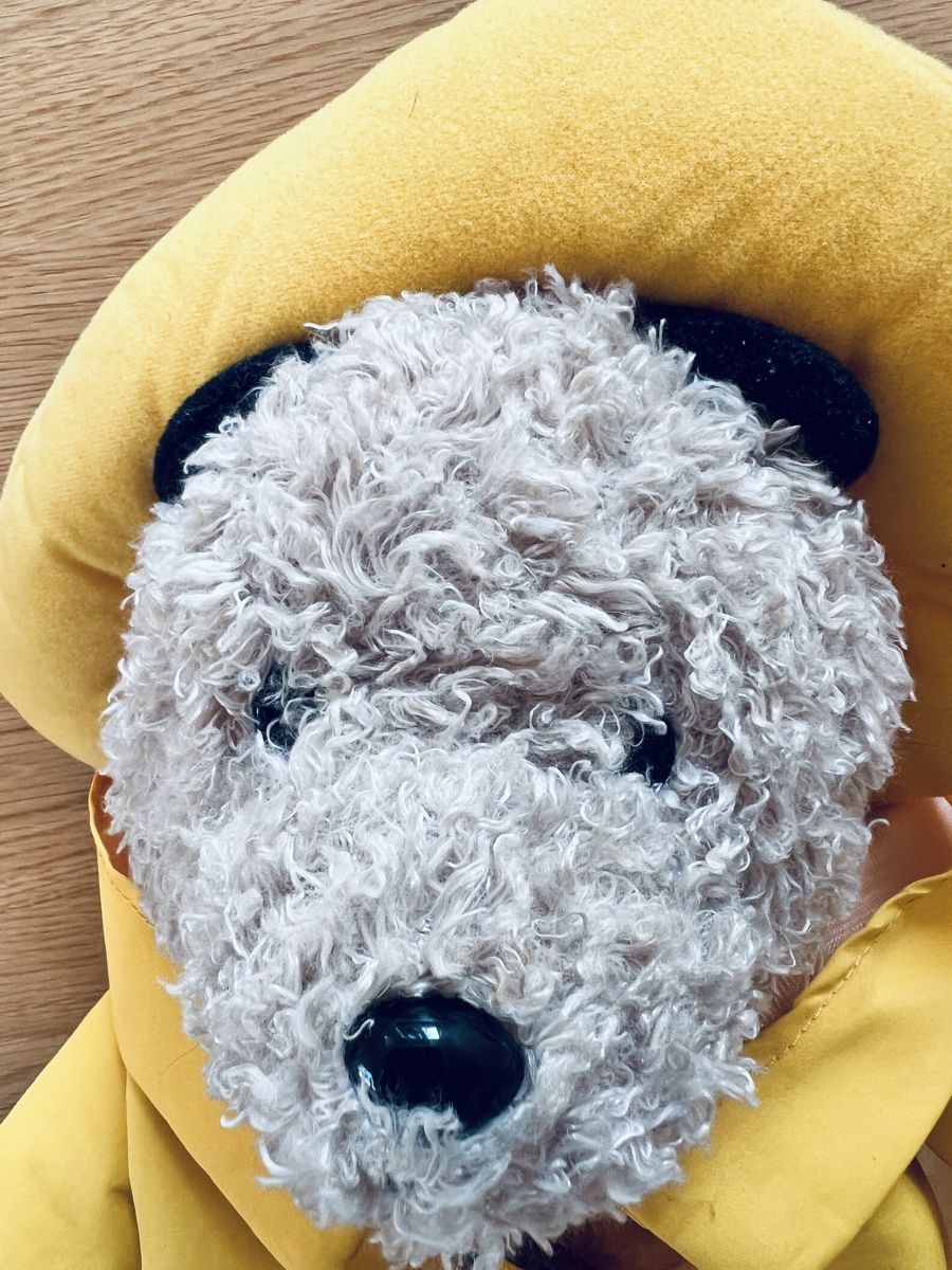 Giocattoli: Paddington mit Regenmantel, Kuscheltier – Usato da Teufen AR venduto da Maleaa 3