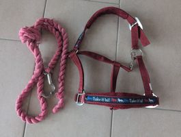 Halfter und Strick Pony Isländer 