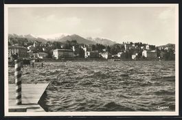 AK Lugano, Panorama