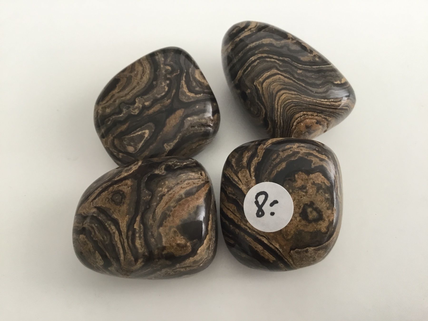 Minerali & Pietre curative: Handschmeichler Stromatolith – Nuovo (secondo la descrizione) da Doppleschwand venduto da Fortuna5859