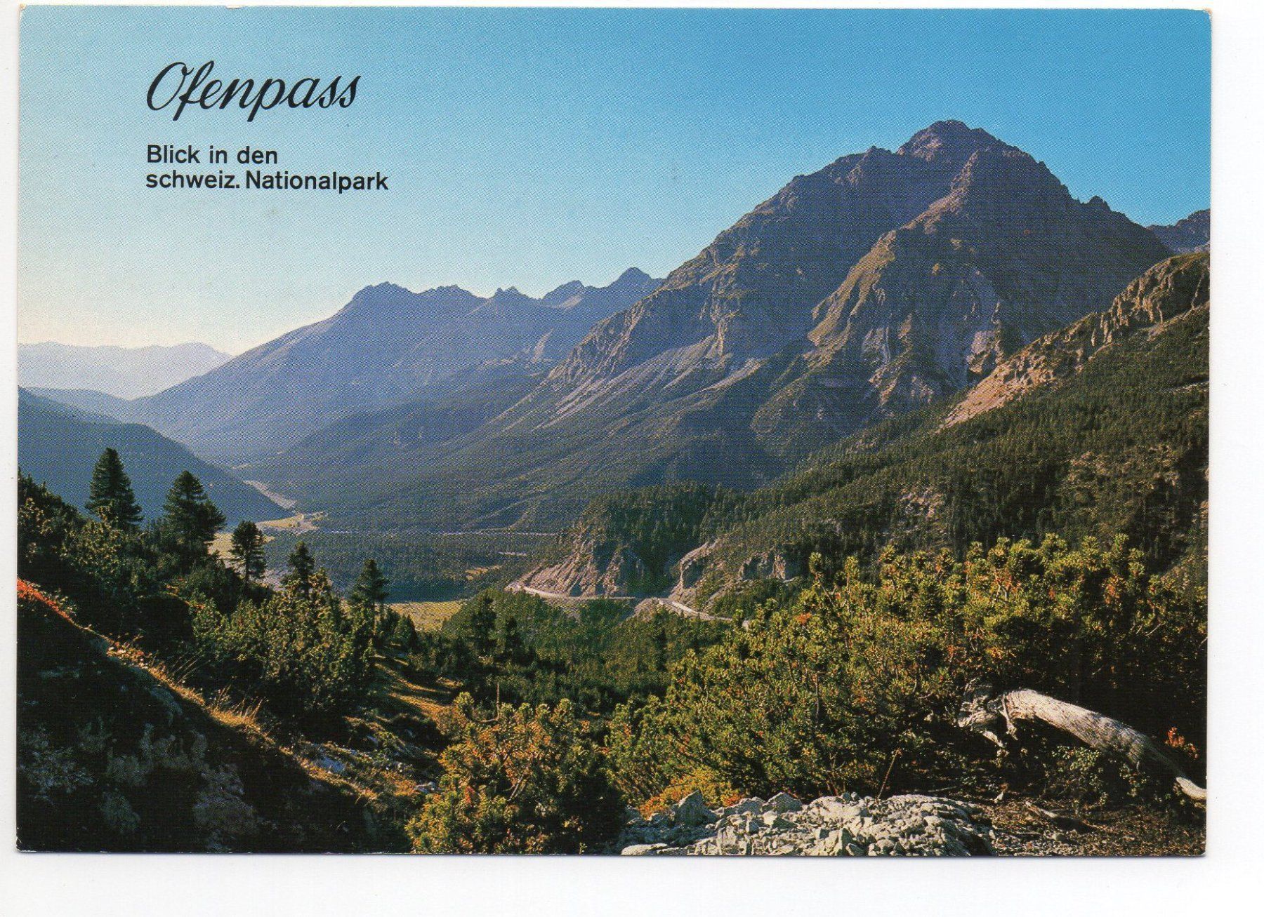Cartes postales: OFENPASS Blick in den schweiz. Nationalpark – D'occasion à Jona par philajona