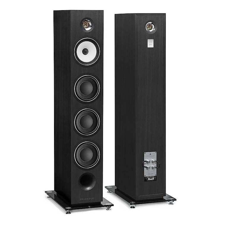 Casse acustiche: Standlautsprecher Triangle Australe EZ Black Ash – Usato da Madiswil venduto da Viper113