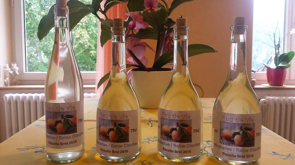 Spirituosen: Mirabelle fait maison 75cl. – Gebraucht aus Bôle von Benedetto72