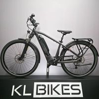 NEUWERTIG E-BIKE FLYER 25KM/H | PANASONIC ELEKTROVELO