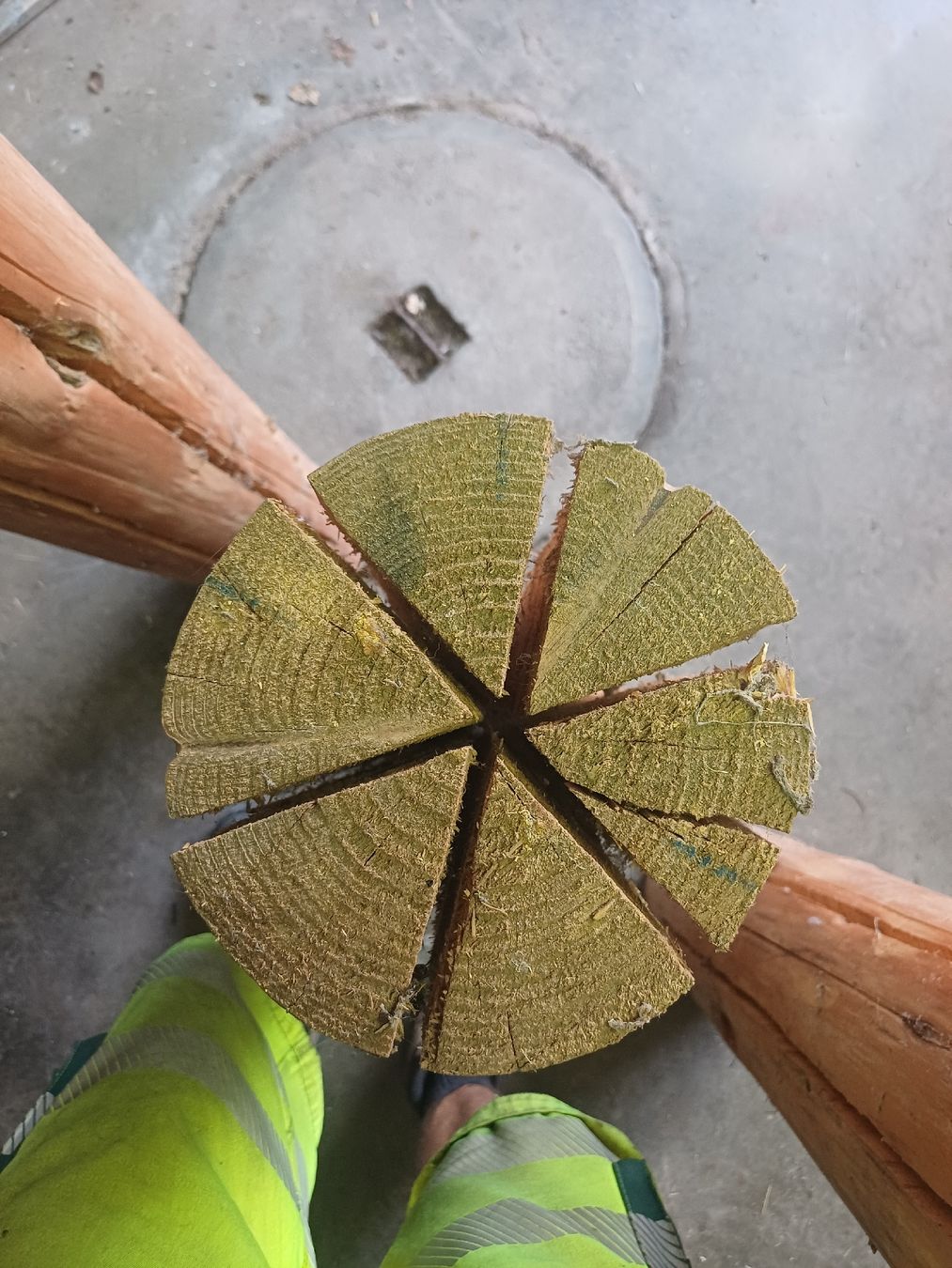 Articoli in legno: 3 Stück Finnenkerzen 1Meter hoch – Usato da Wangenried venduto da Recycler94 3