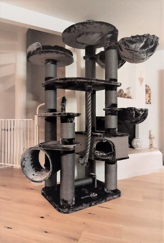 Tiragraffi: WUNDER KATZENBAUM - GROSSE KATZEN TOP ! – Nuovo e nell'imballaggio originale da Eschenbach LU venduto da PETHOMES_AG 2