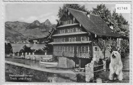 Vierwaldstättersee Treib und Hund Flory