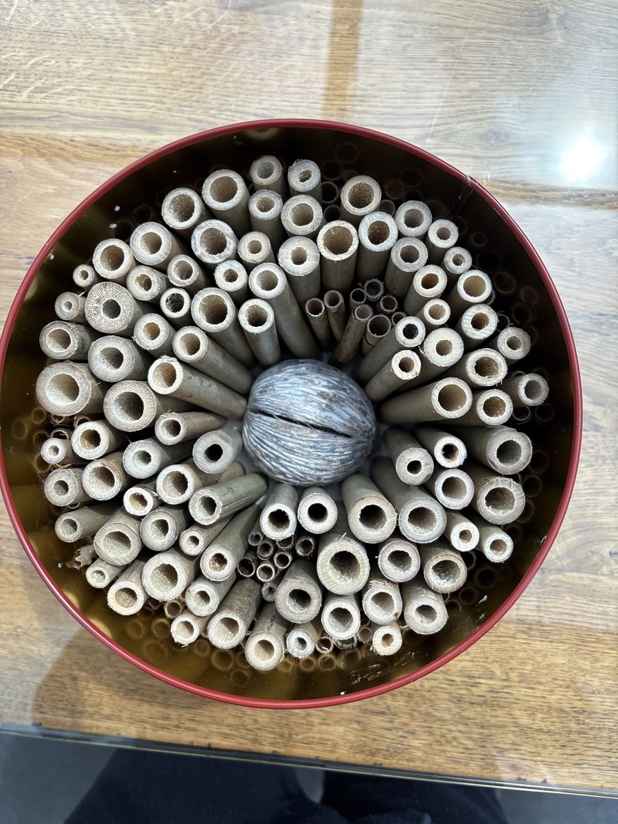 Alveari: Insektenhotel in Dose, Unikat – Nuovo (secondo la descrizione) da Knonau venduto da Kaktus122 1