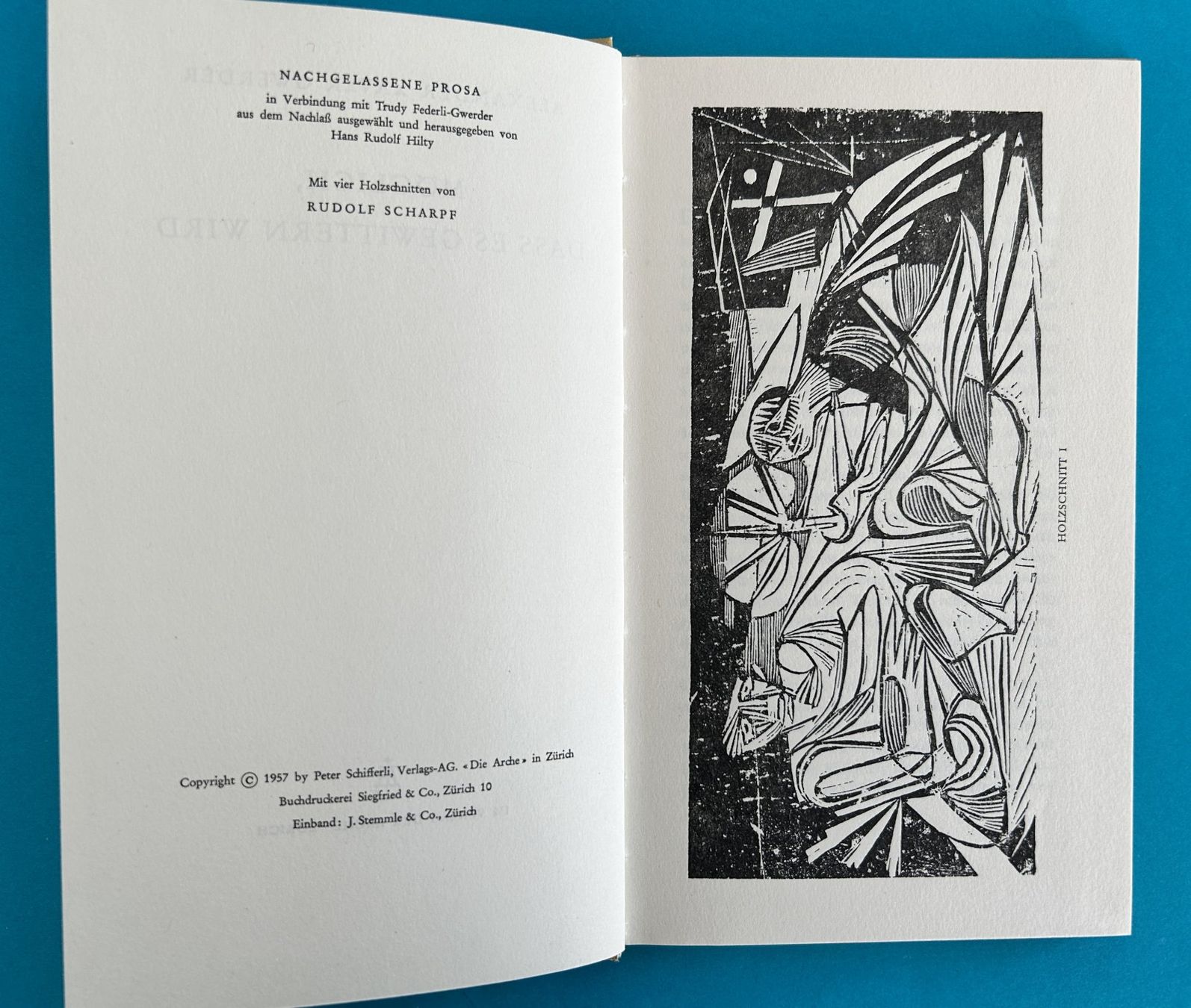 Libri: A.X. GWERDER: GEWITTER – Usato da Zürich venduto da Domus09 2