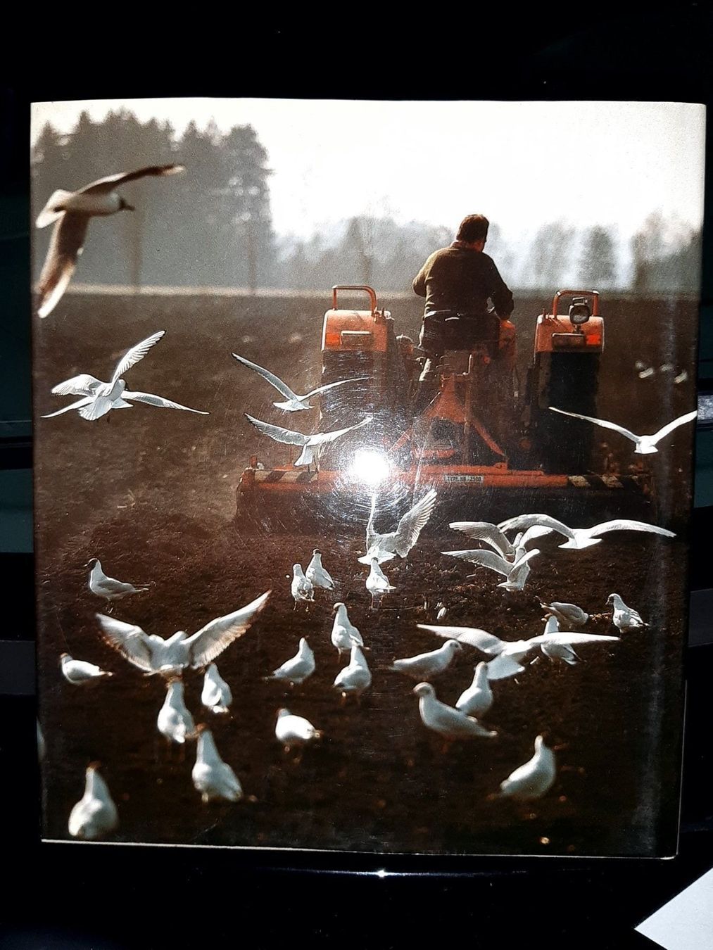 Bücher: L'homme et la nature – Gebraucht aus Le locle von juliensaran 2