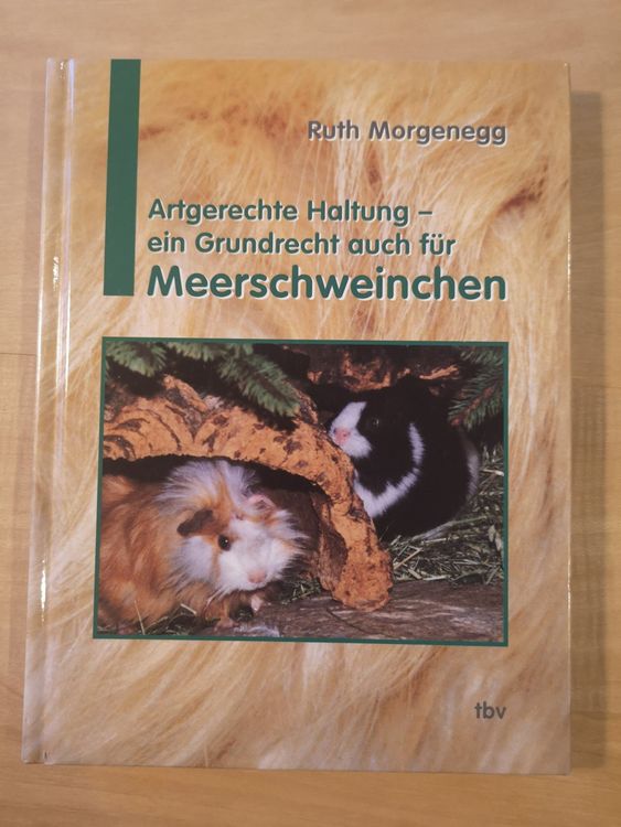 Ratgeber Meerschweinchen - Ruth Morgenegg 1