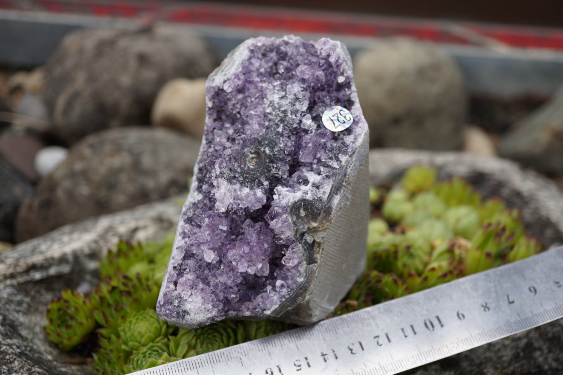 Minerali & Pietre curative: Amethyst Drusen Stück    620g  Topstone  ab  10.- – Nuovo e nell'imballaggio originale da Eschenbach SG venduto da topstone 1