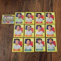 Panini Fussballstickers Neuseeland 13 Stk